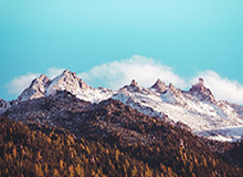 开云APP：让云端生活成为现实的助手